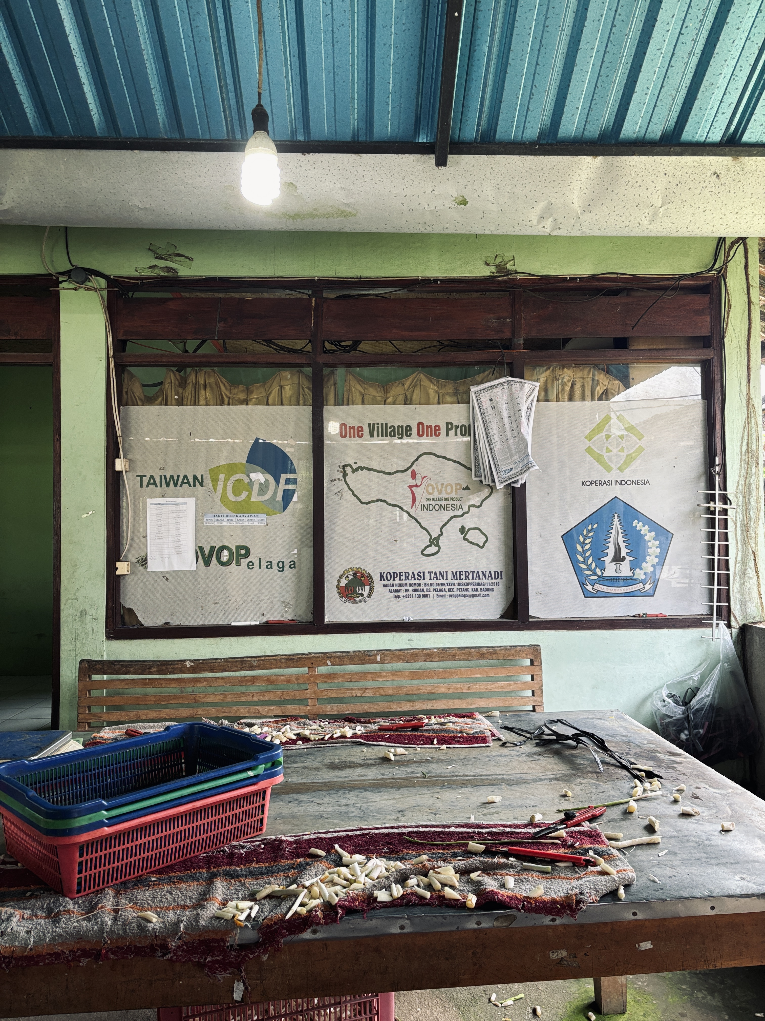 Pemandangan Air Terjun Nungnung dari dekat